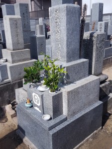 20190426_150828